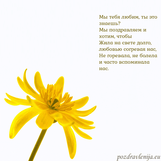 Открытка с желтым цветком