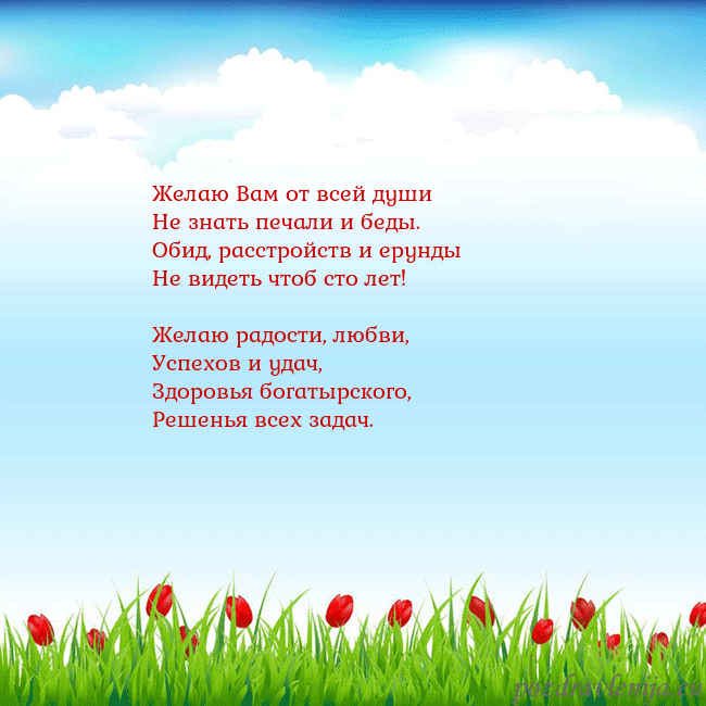 Открытка с тюльпанами