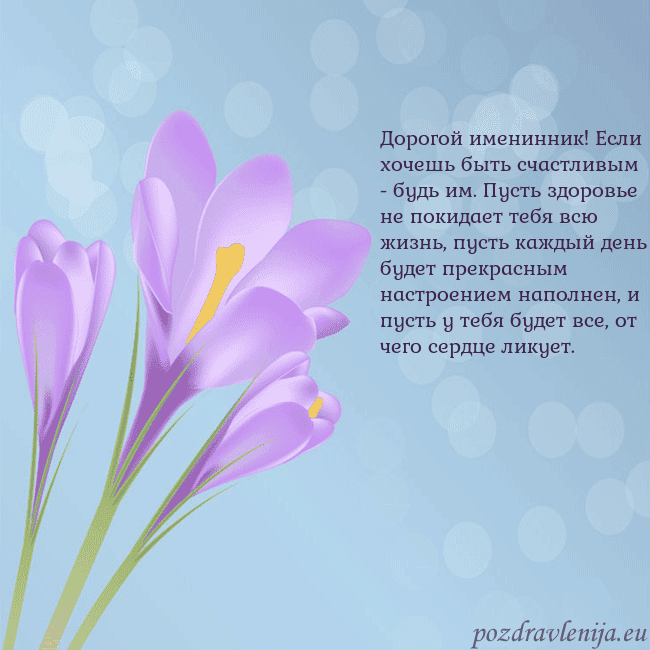 Открытка с крокусом
