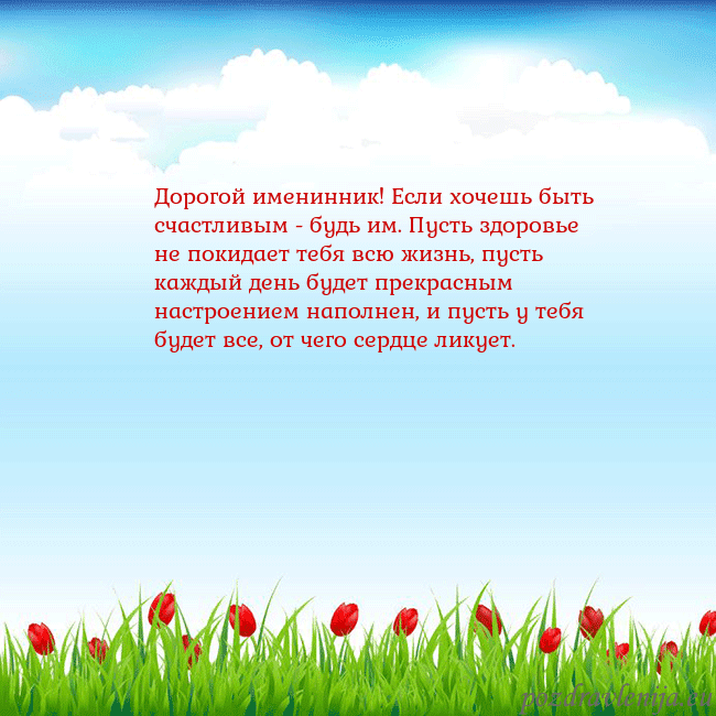 Открытка с тюльпанами