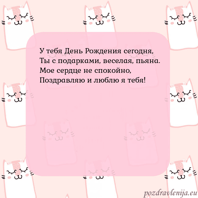 Розовая открытка с забавными кошками