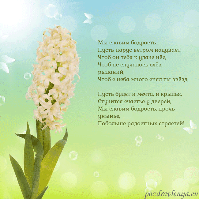 Открытка с гиацинтом