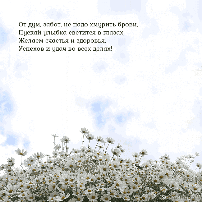 Открытка с ромашками