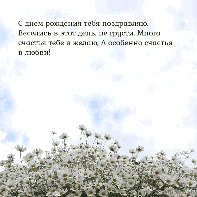 Открытка с ромашками