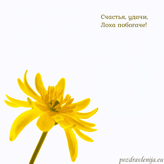 Открытка с желтым цветком