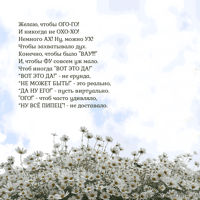 Открытка с ромашками