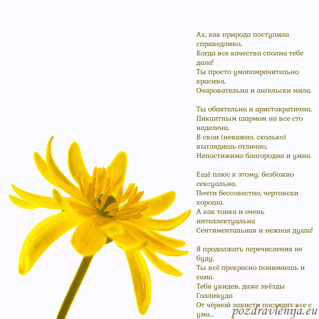 Открытка с желтым цветком Ах, как природа поступила справедливо,
Когда все к Открытка с желтым цветком