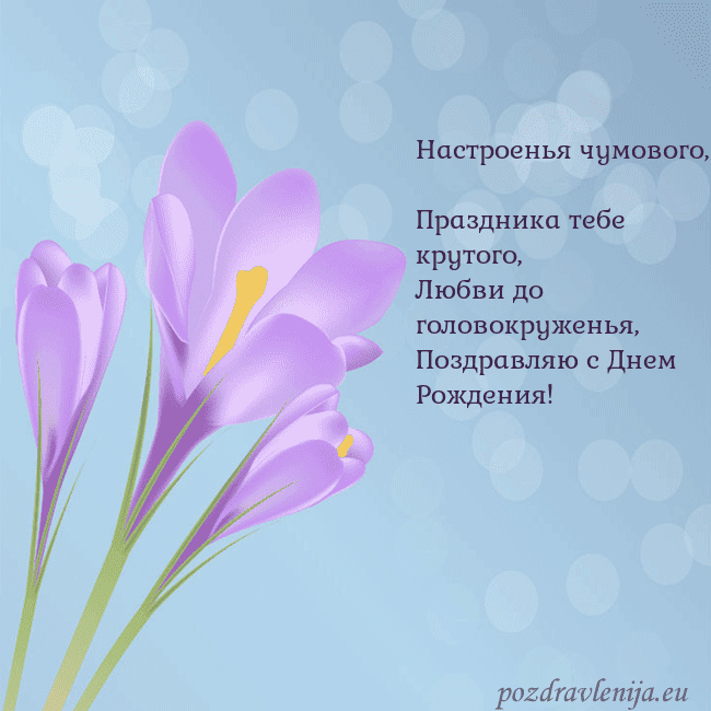 Открытка с крокусом