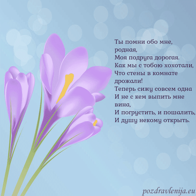 Открытка с крокусом