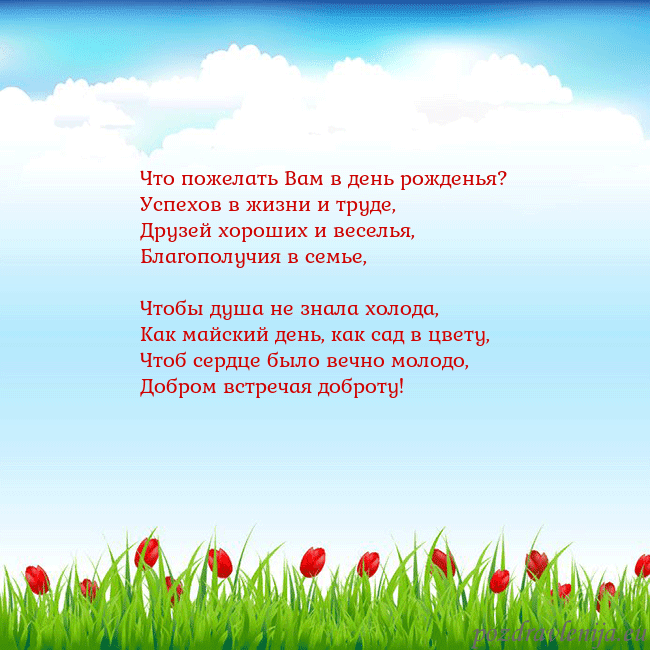 Открытка с тюльпанами