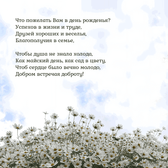 Открытка с ромашками