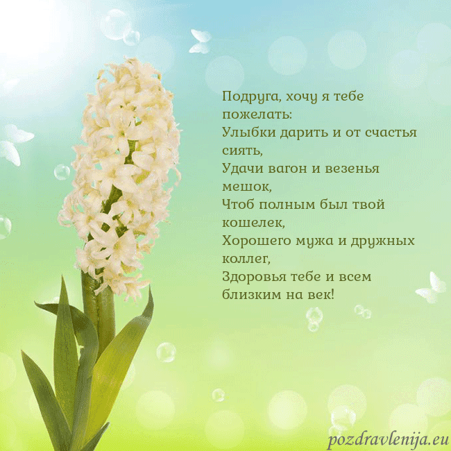 Открытка с гиацинтом