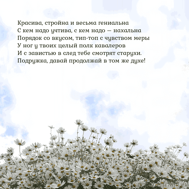 Открытка с ромашками