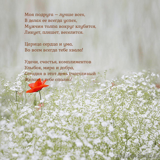 Электронная открытка с белыми цветами