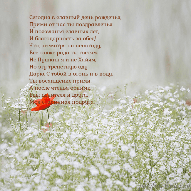 Электронная открытка с белыми цветами