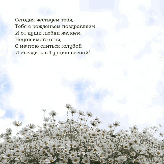 Открытка с ромашками
