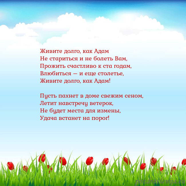 Открытка с тюльпанами