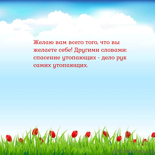 Открытка с тюльпанами
