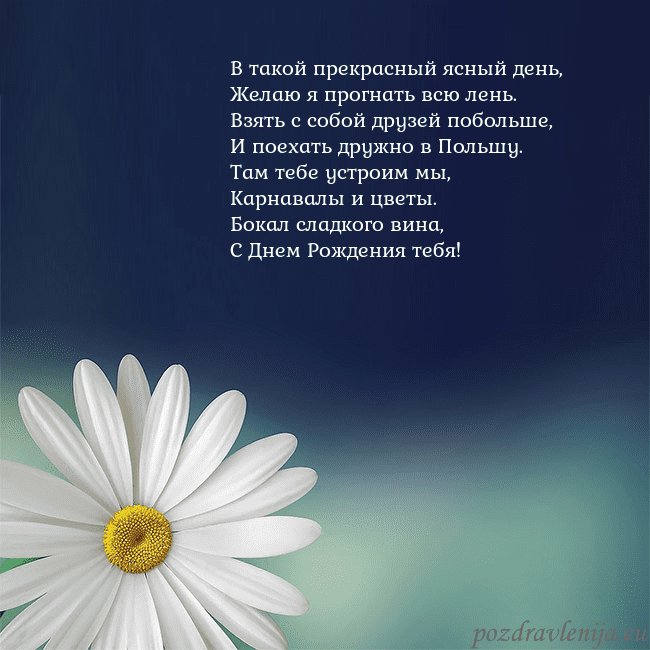 Открытка с большой ромашкой