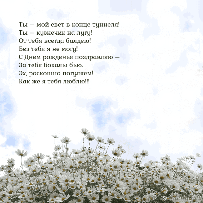 Открытка с ромашками