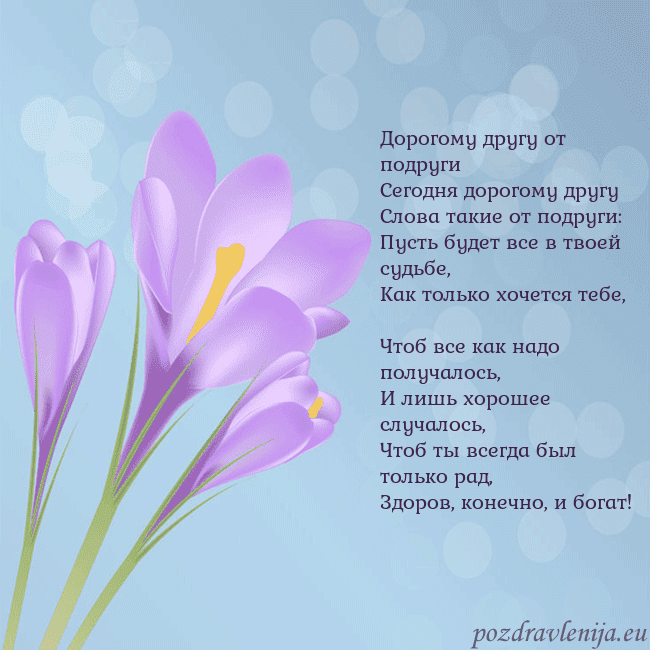 Открытка с крокусом