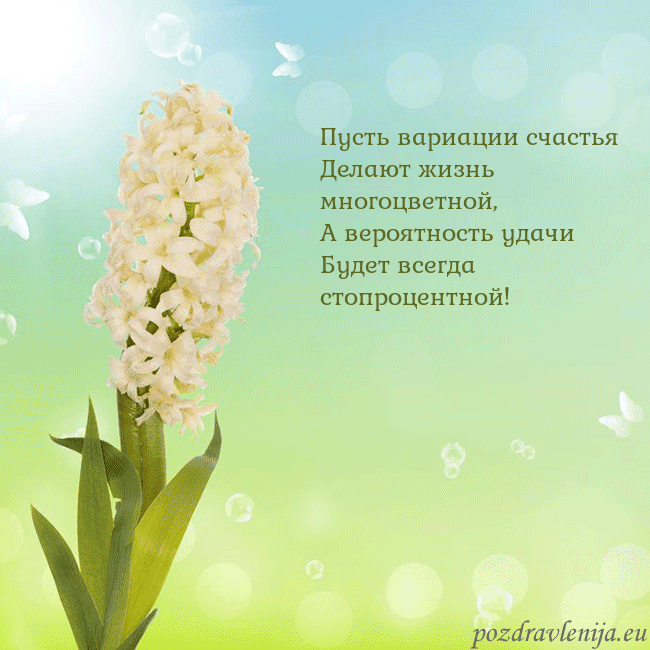 Открытка с гиацинтом
