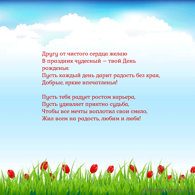 Открытка с тюльпанами