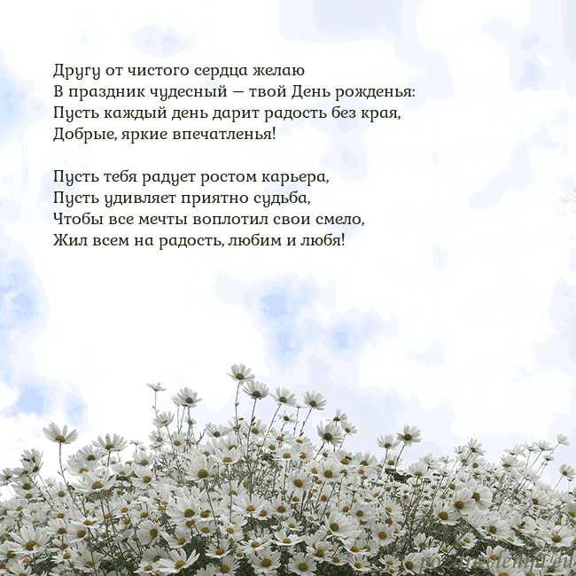 Открытка с ромашками