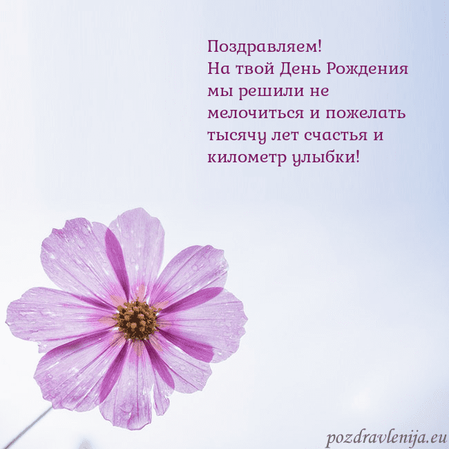 Электронная открытка с фиолетовым цветком