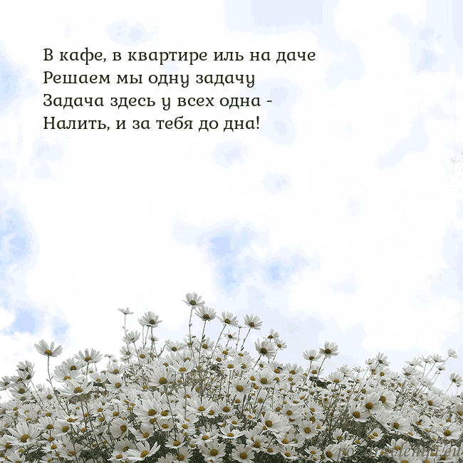 Открытка с ромашками