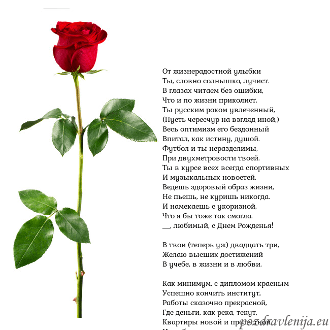 Открытка с красной розой От жизнерадостной улыбки
Ты, словно солнышко, луч Открытка с красной розой