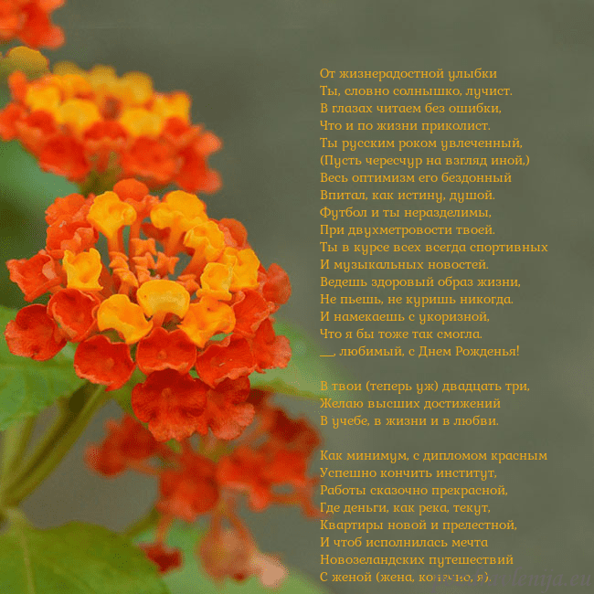 Открытка с оранжевыми цветами От жизнерадостной улыбки
Ты, словно солнышко, луч Открытка с оранжевыми цветами