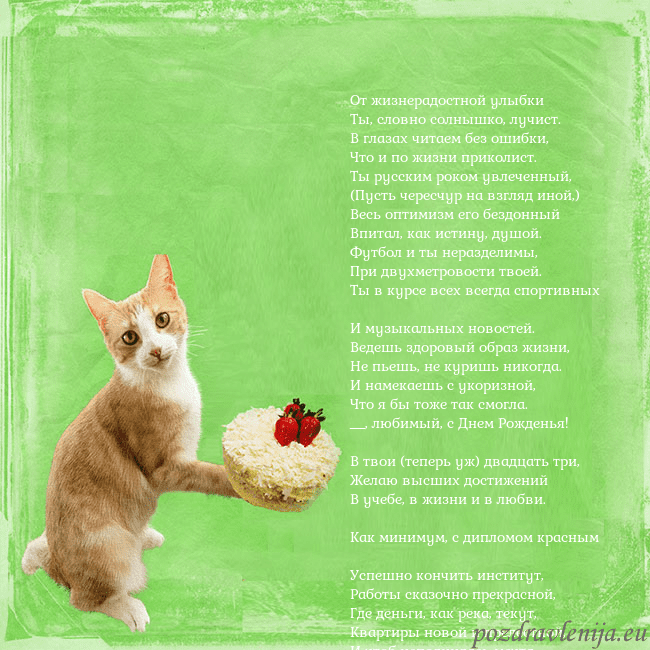 Забавная открытка на день рождения с кошкой и тортом От жизнерадостной улыбки
Ты, словно солнышко, луч Забавная открытка на день рождения с кошкой и тортом