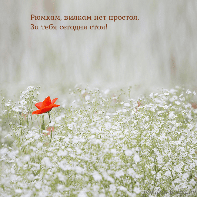 Электронная открытка с белыми цветами