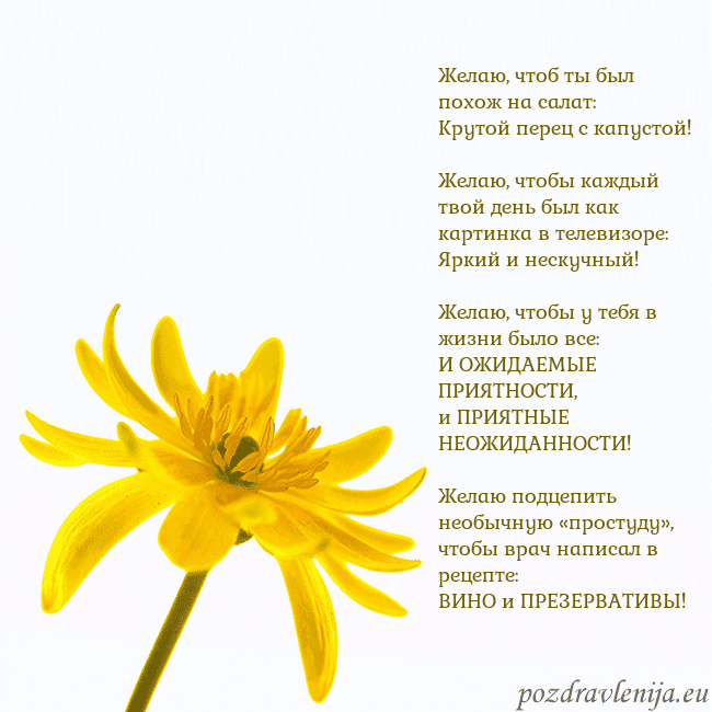 Открытка с желтым цветком