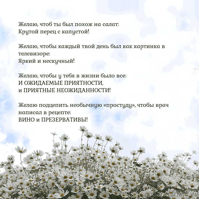 Открытка с ромашками