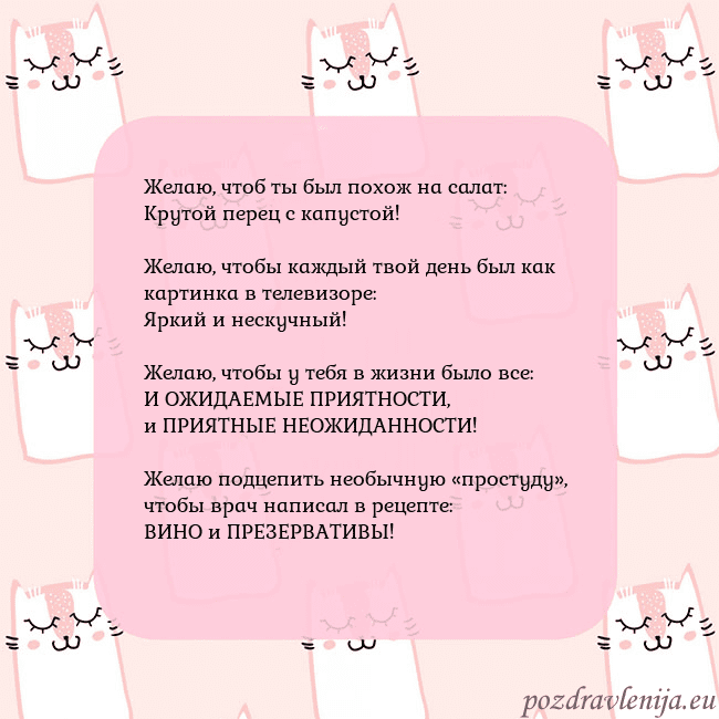 Розовая открытка с забавными кошками