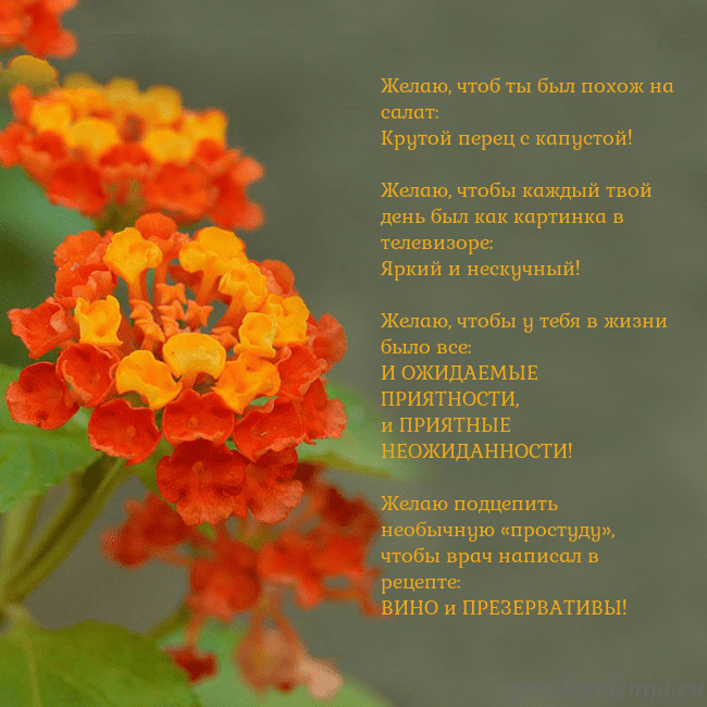 Открытка с оранжевыми цветами