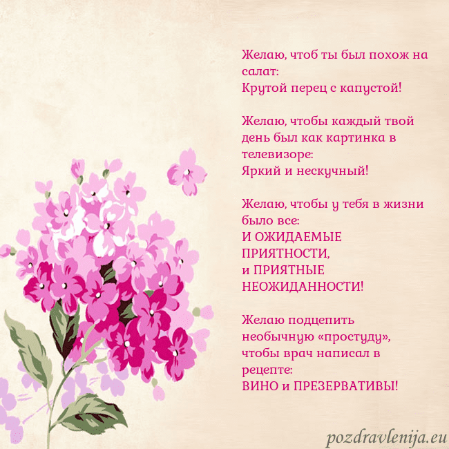 Открытка с гортензией