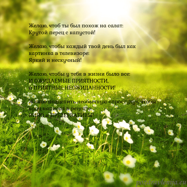 Электронная открытка с утопающим в солнечном свете лугом