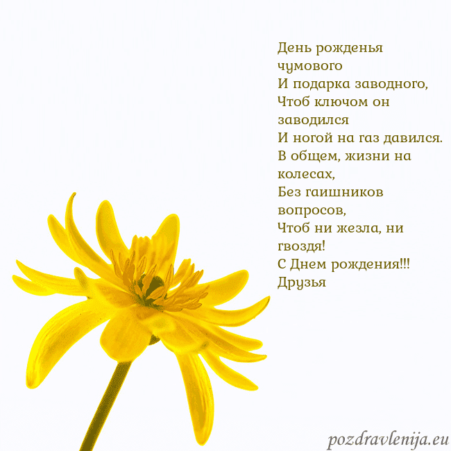 Открытка с желтым цветком