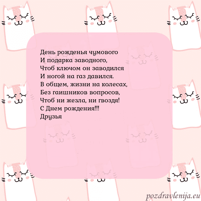 Розовая открытка с забавными кошками