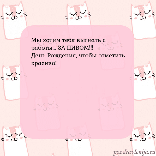 Розовая открытка с забавными кошками