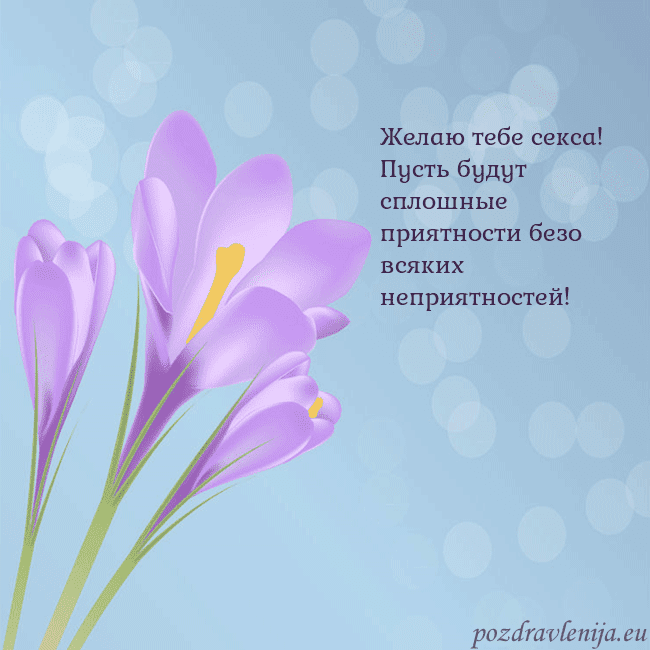 Открытка с крокусом