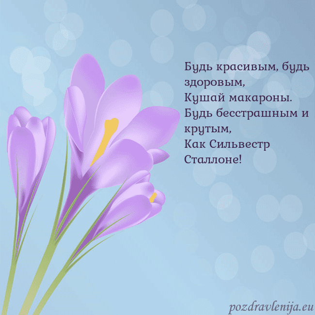 Открытка с крокусом