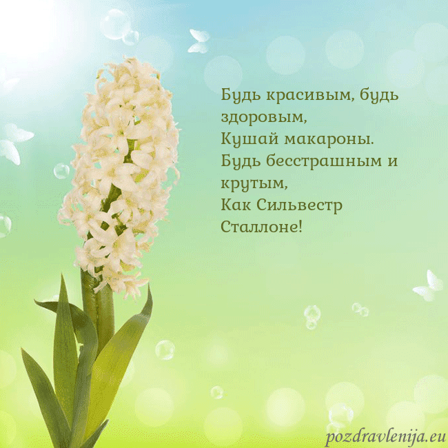 Открытка с гиацинтом