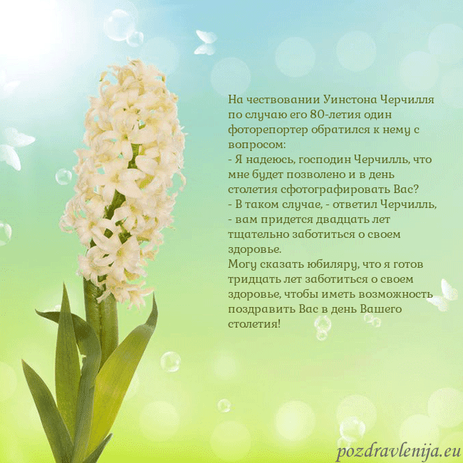 Открытка с гиацинтом