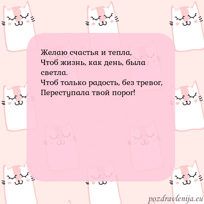 Розовая открытка с забавными кошками