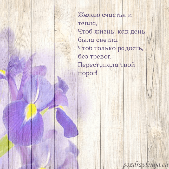 Открытка с ирисами