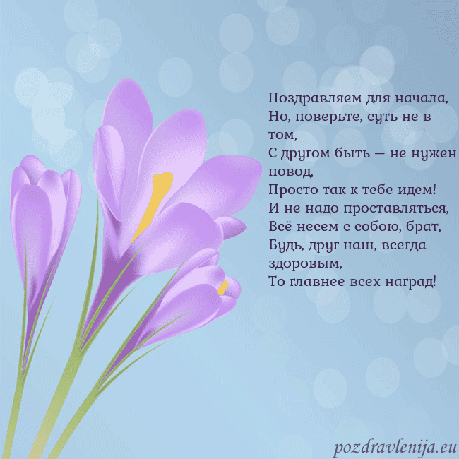 Открытка с крокусом